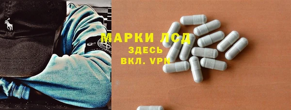 гидропоника Алзамай