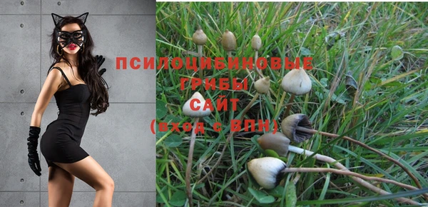 соль курить ск Алексеевка