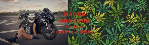 гидропоника Алзамай